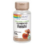 Solaray Reishi 500 mg. 60 cápsulas vegetales